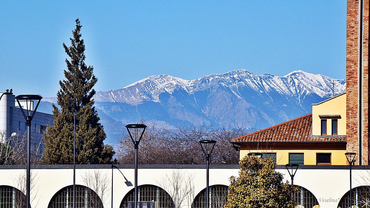 Окунувшись в мир мечты - Veselina * Окунувшись в мир мечты - Veselina *