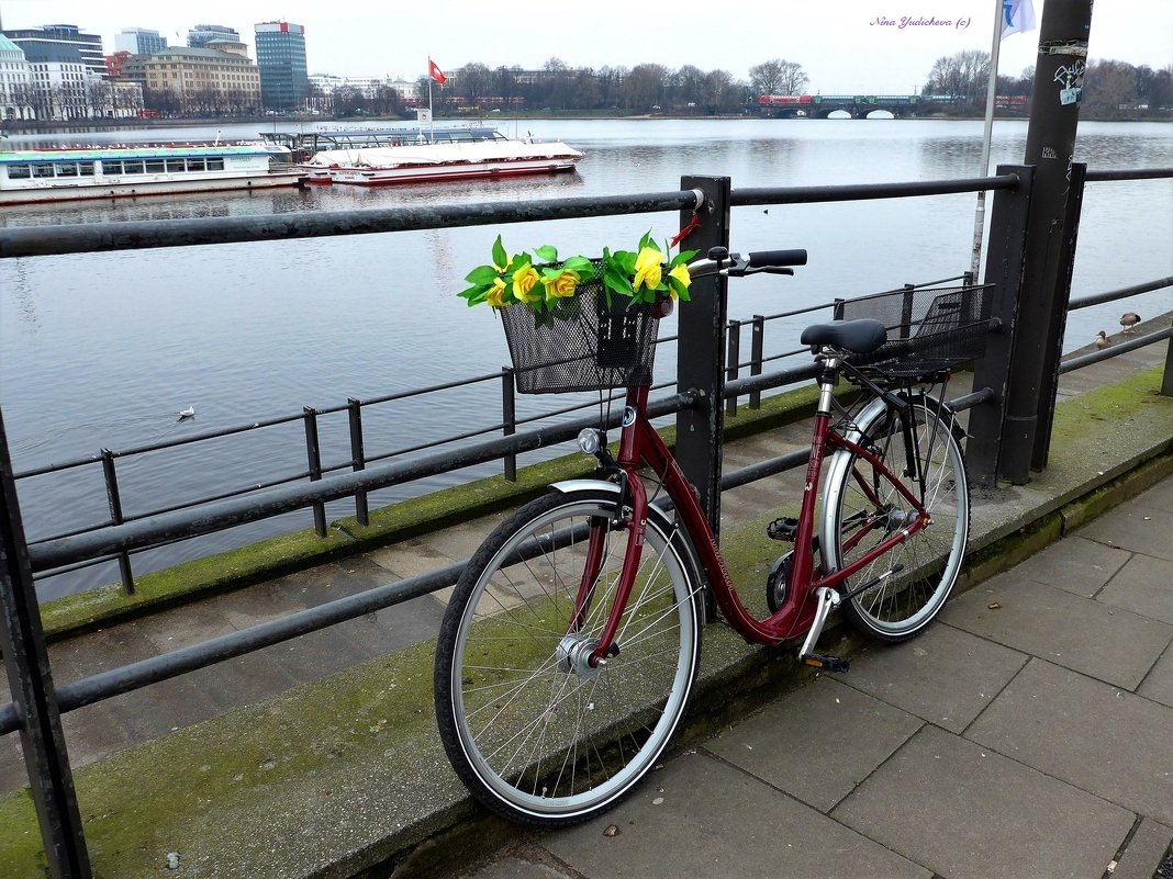 Alster. Hamburg - Nina Yudicheva