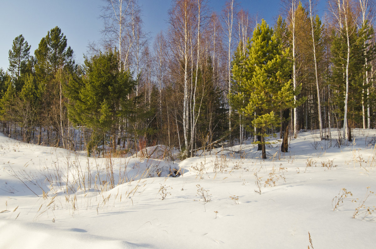 *** - Дмитрий 