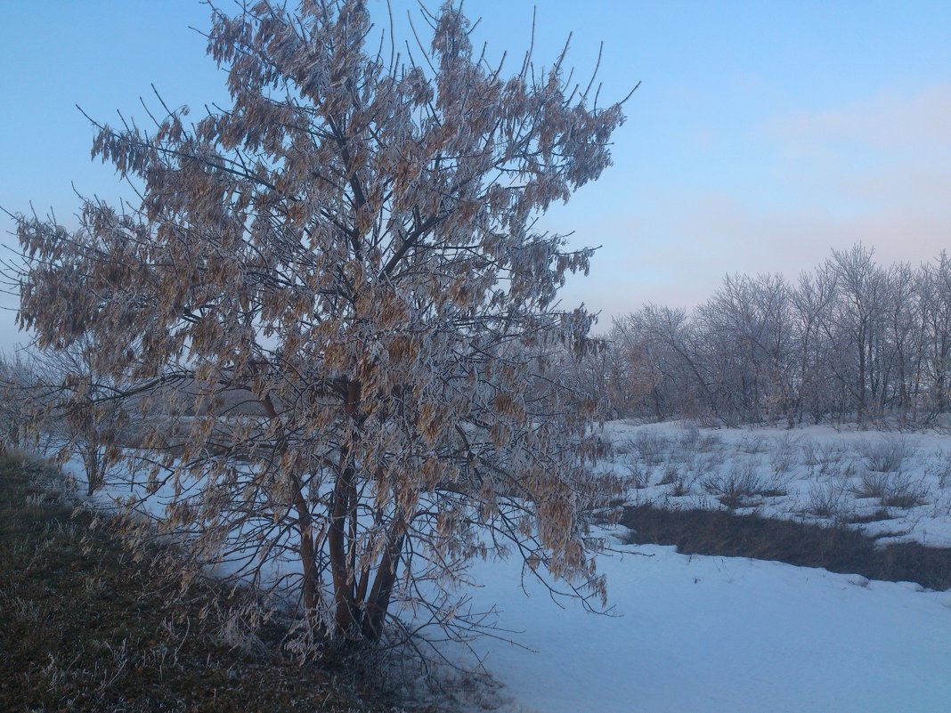 у дороги - Наталья А у дороги - Наталья А