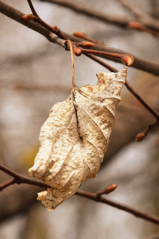 Выжил! - Валентина Нефёдова Выжил! - Валентина Нефёдова