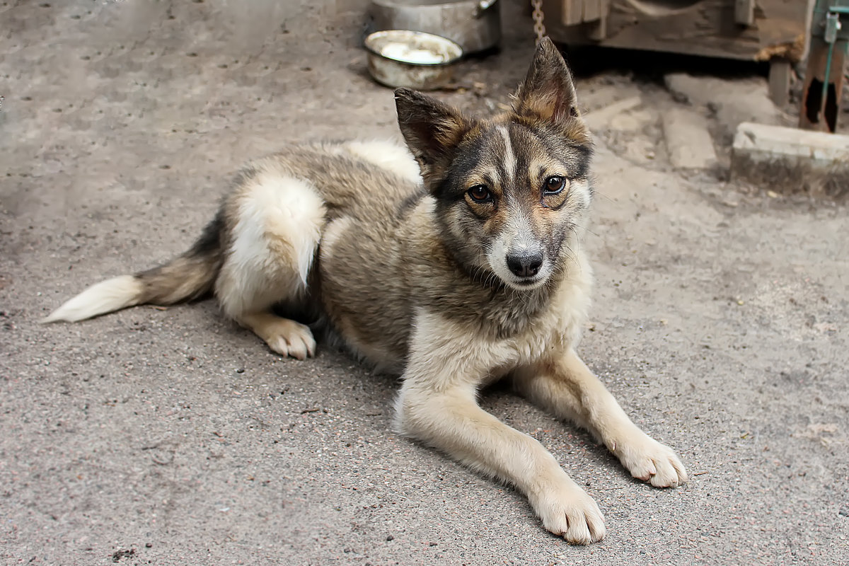 **** - Хэлен *** **** - Хэлен ***