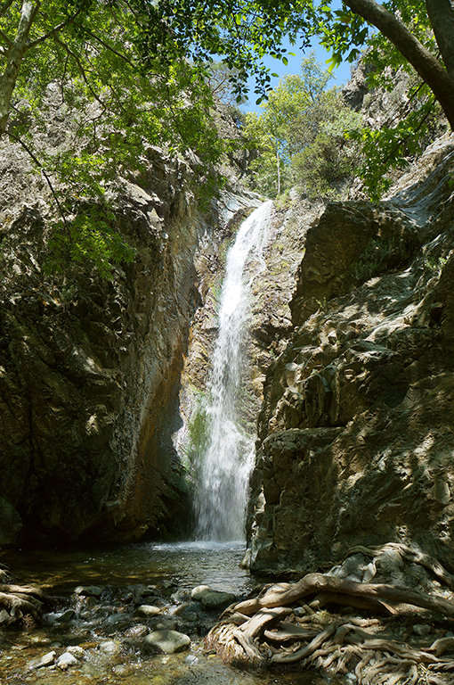 Летняя красота - Элен . Летняя красота - Элен .