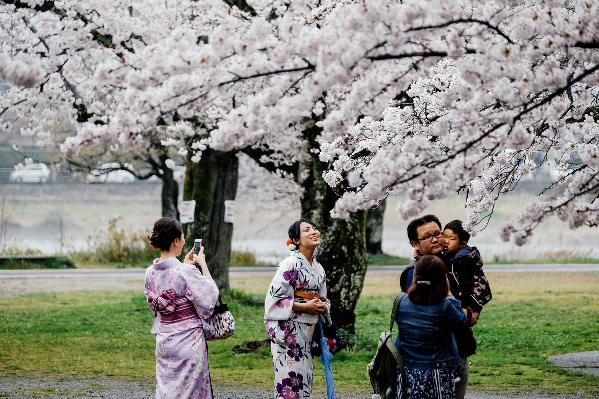 Hanami - Станислав Маун