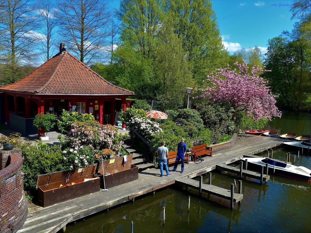 Stadtpark. Hamburg - Nina Yudicheva