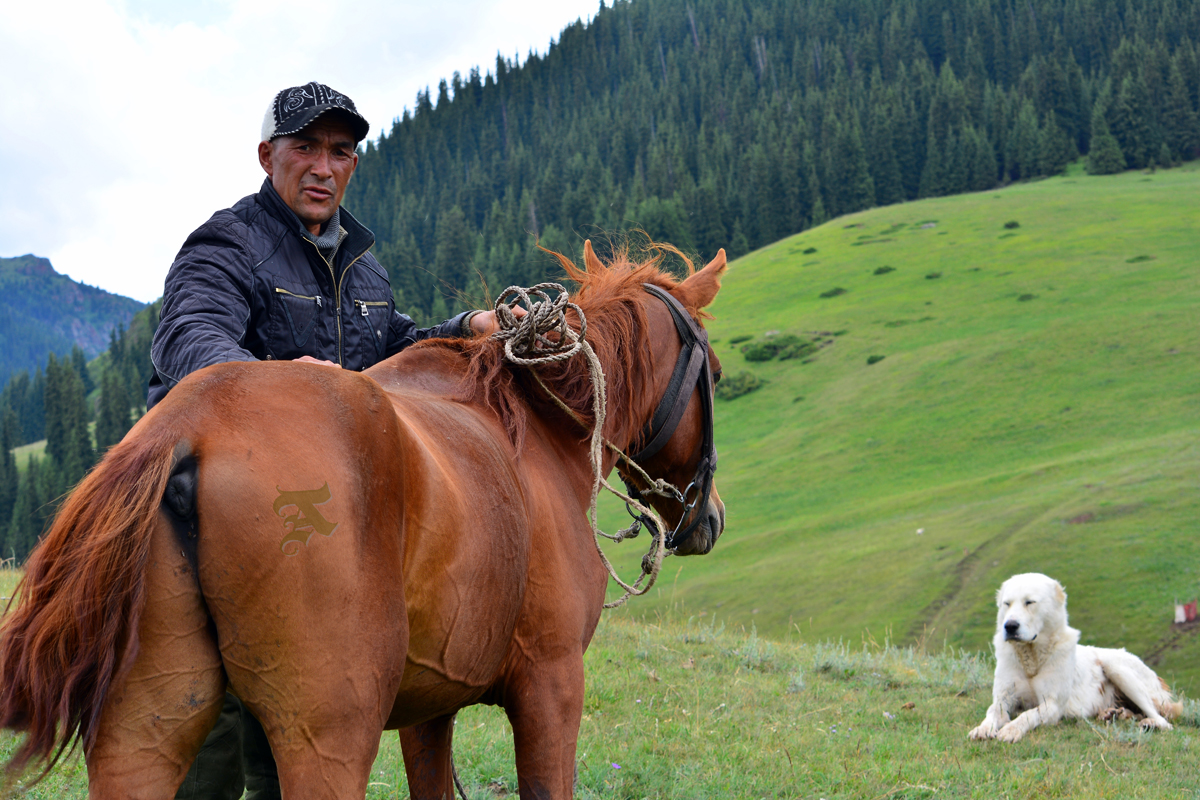 Пастушьи собаки (5) - Alexei Kopeliovich