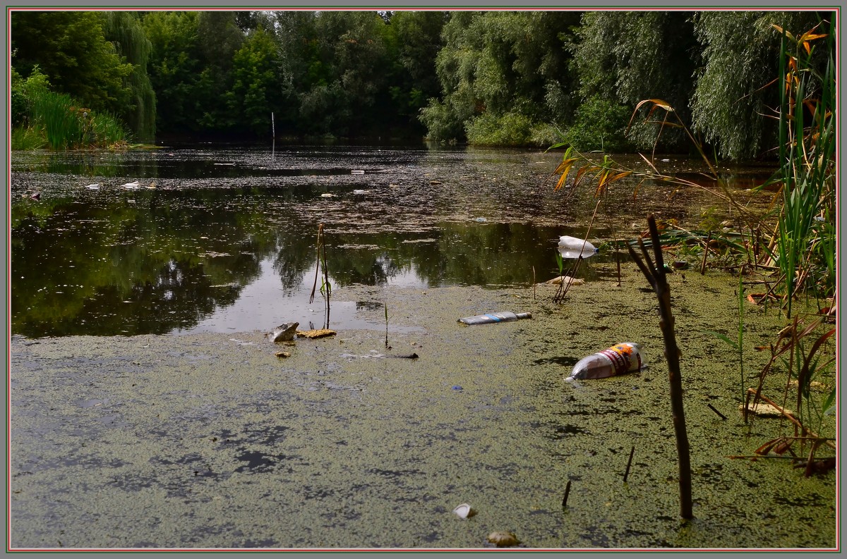 Старый пруд - Александръ Морозовъ