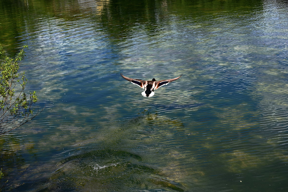 Взлет ... - Владимир Икомацких
