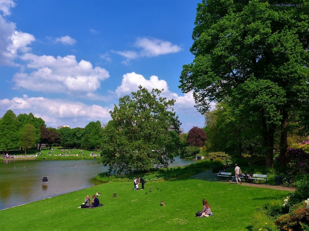 Planten un Blomen. Hamburg - Nina Yudicheva