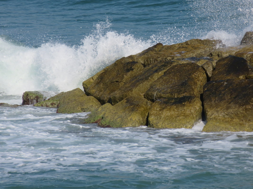 **** - Герович Лилия 