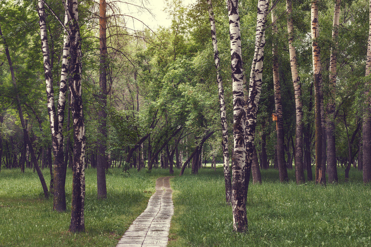 В парке - Кирилл Богомазов