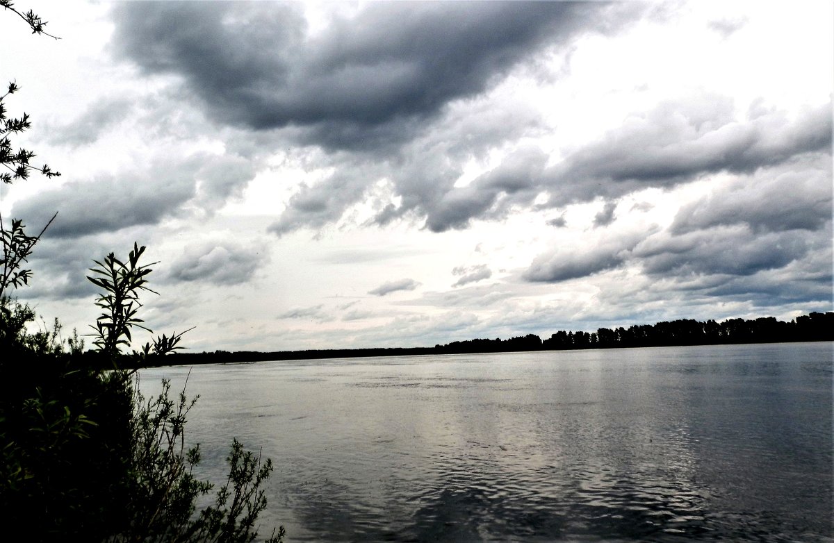 р.Томь. - Прима Игорь Кондратьевич 