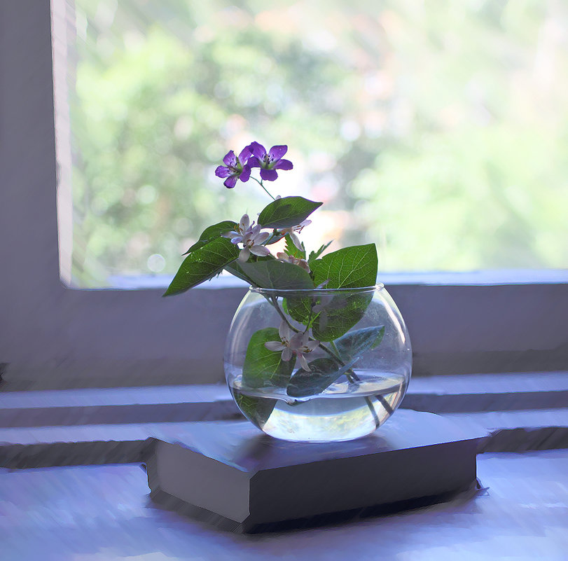 бн - Николай 