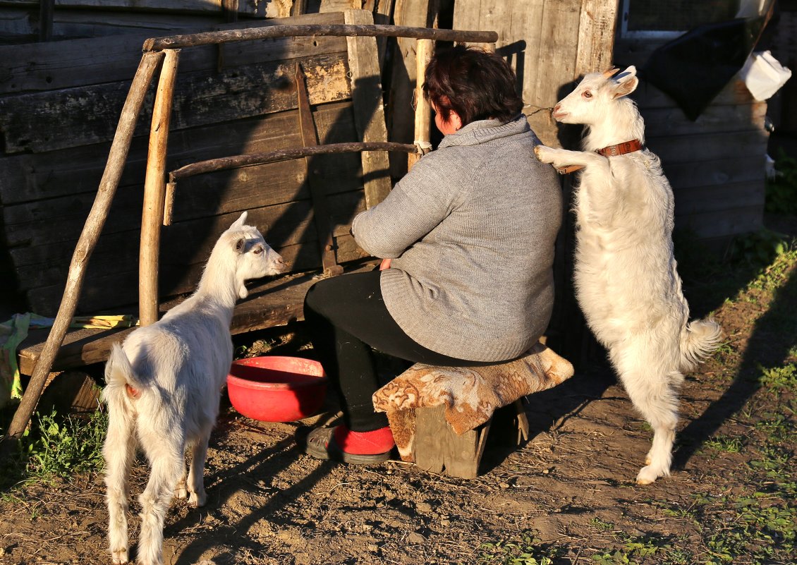 во дворе - Николай Климанов