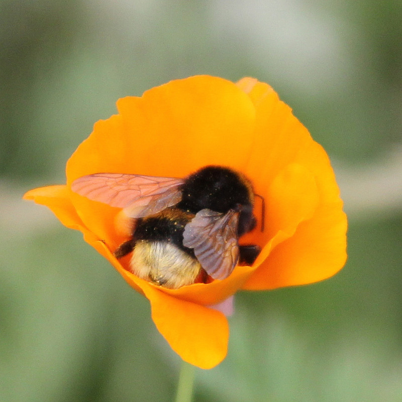 в домике - Сергей 