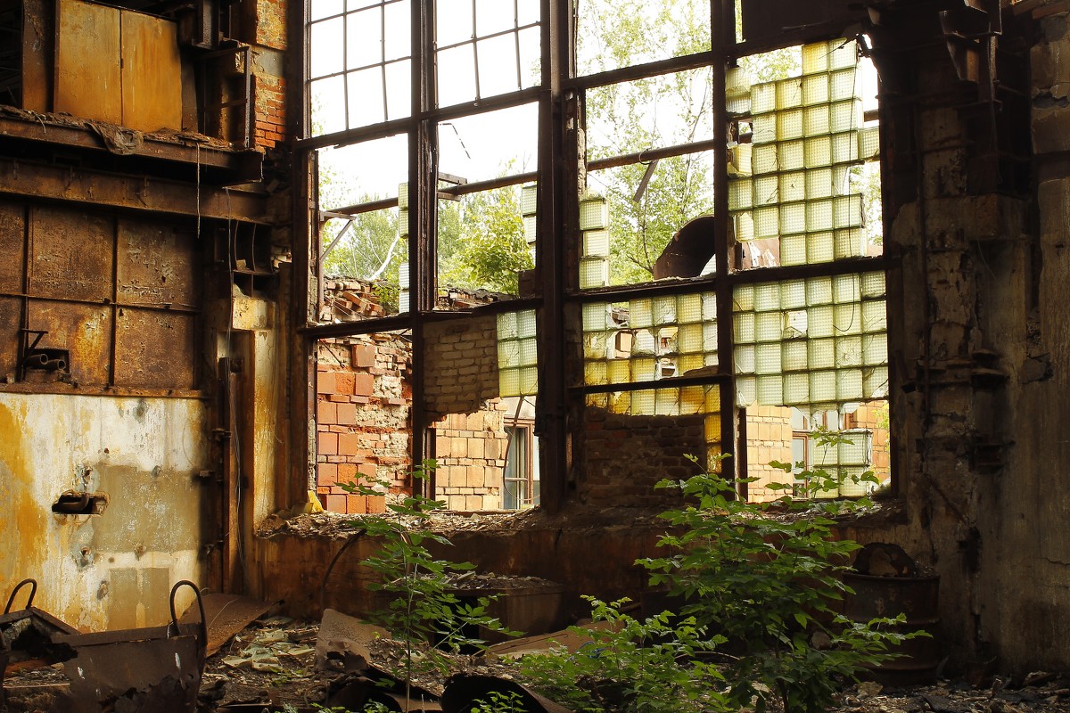 *** - Michael Korchagin