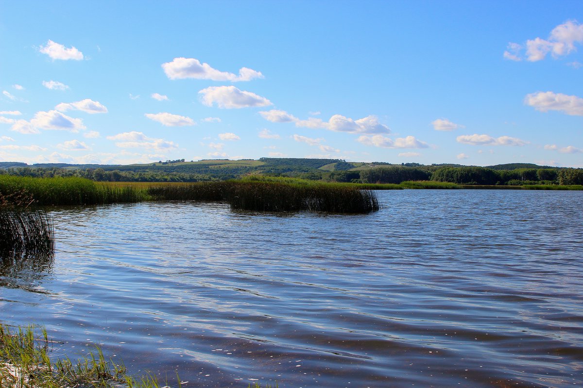 ... - (Владимир С)