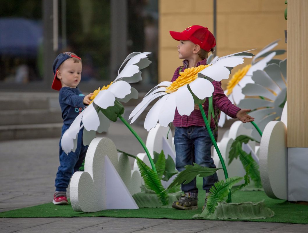 *** - Елена Черненко