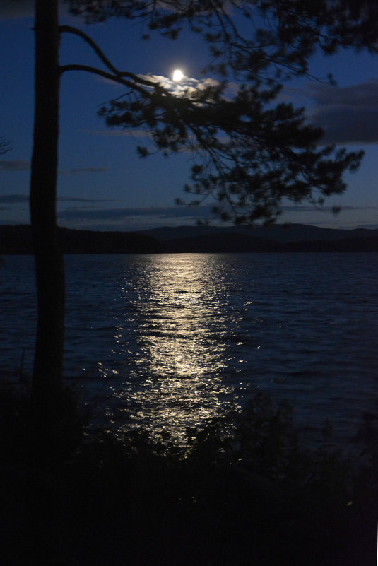 Луна готовится ко сну... - Дмитрий Петренко Луна готовится ко сну... - Дмитрий Петренко