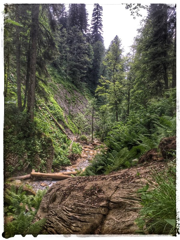 Парк водопадов Менделиха - Николай Милоградский Парк водопадов Менделиха - Николай Милоградский