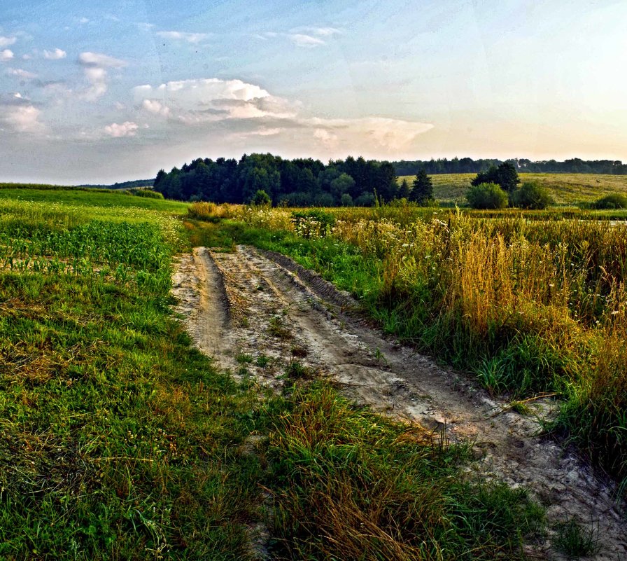 лето - юрий иванов
