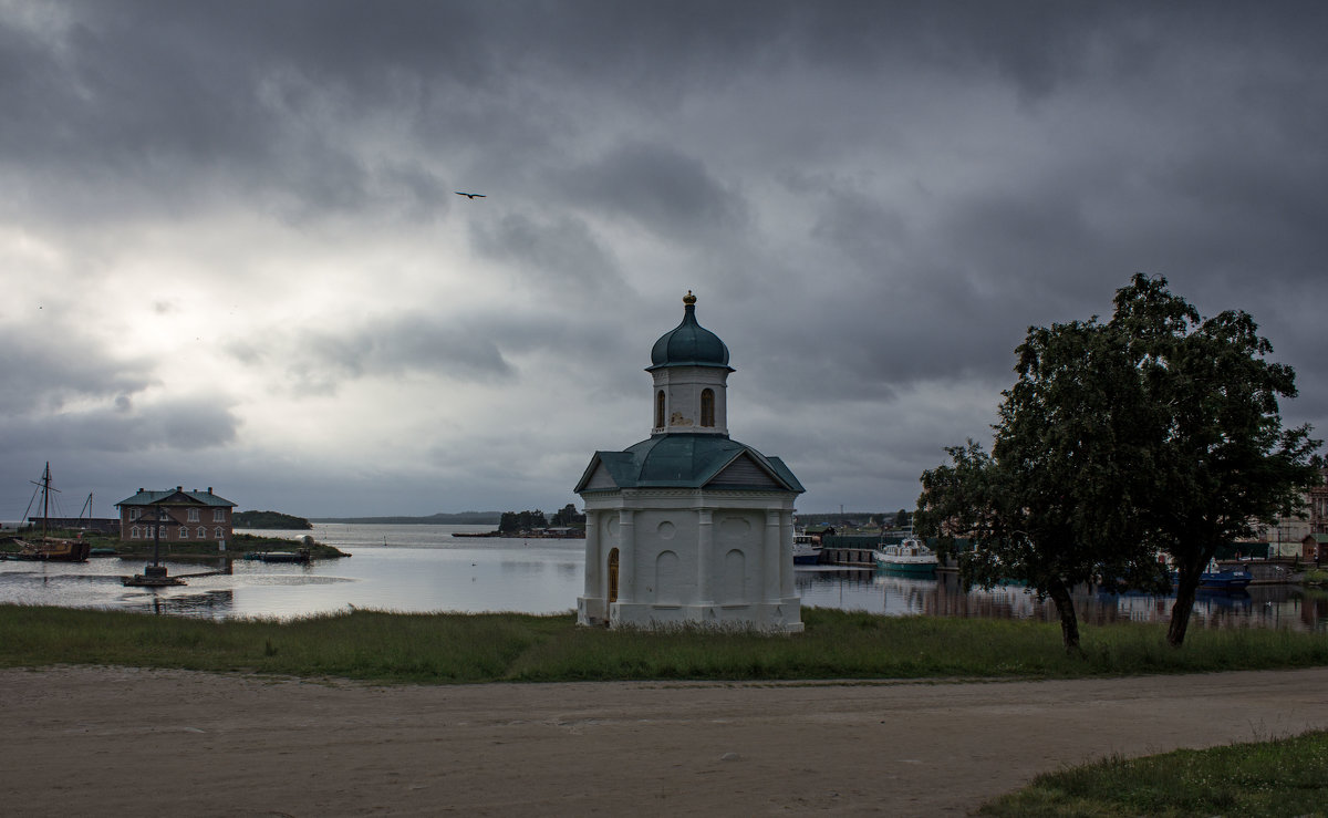 *** - Ольга Лиманская