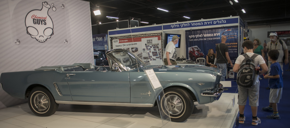 Мустанг - профиль - susanna vasershtein Мустанг - профиль - susanna vasershtein