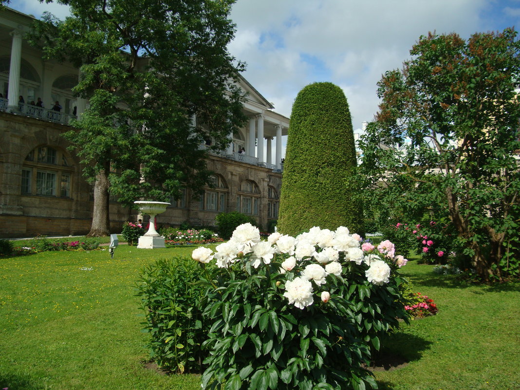 ,,, - марина ковшова ,,, - марина ковшова