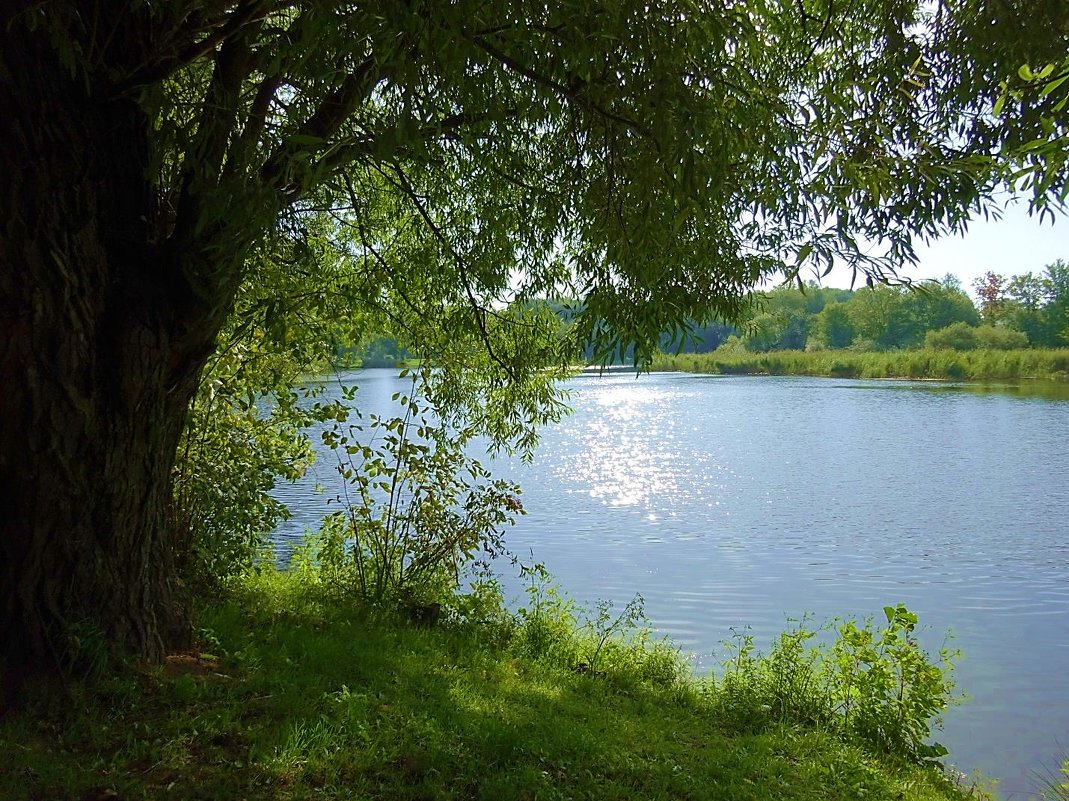 Начало осени в парке - Маргарита Батырева