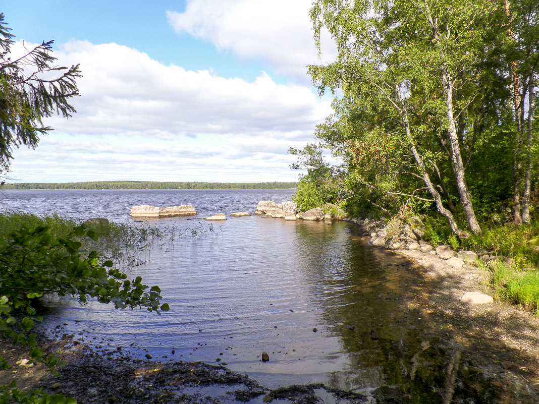 Монрепо... - Александр Филатов