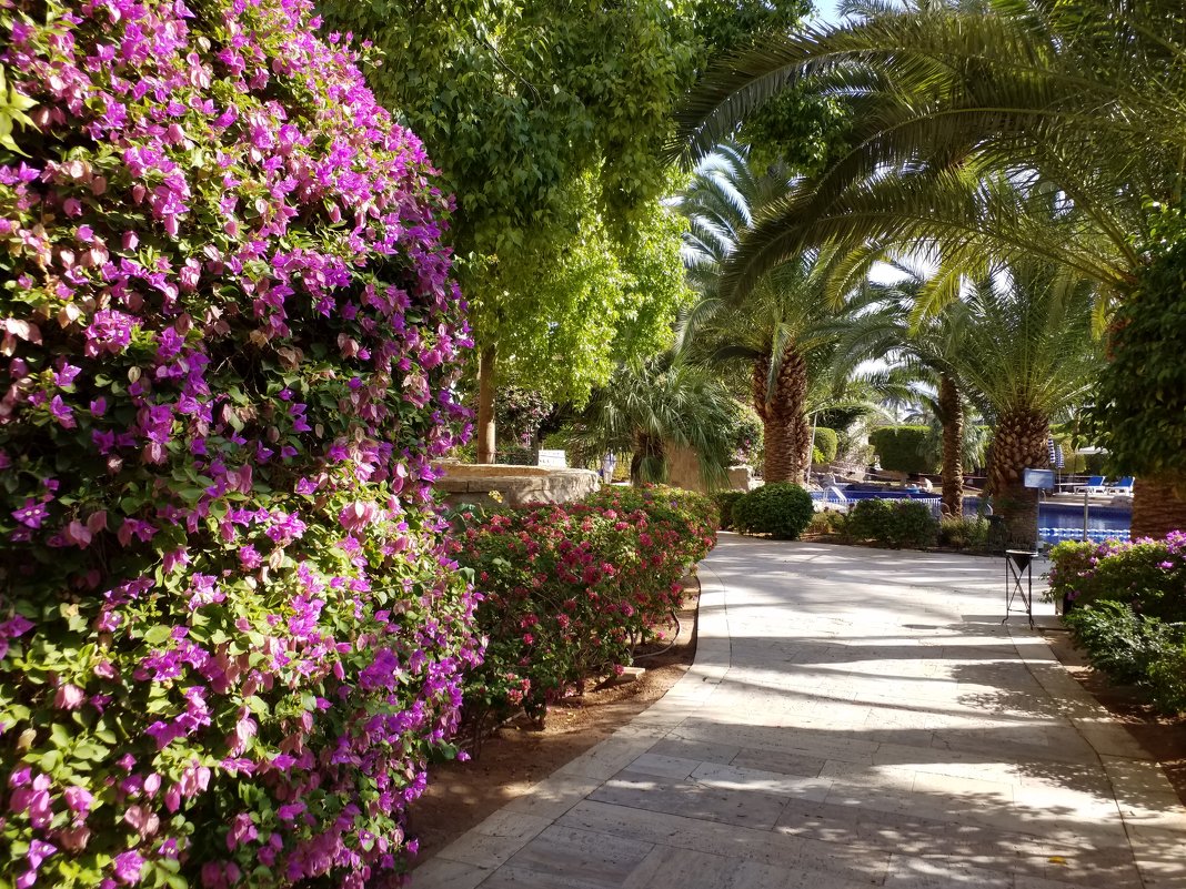 Дорога к морю. - Жанна Викторовна Дорога к морю. - Жанна Викторовна