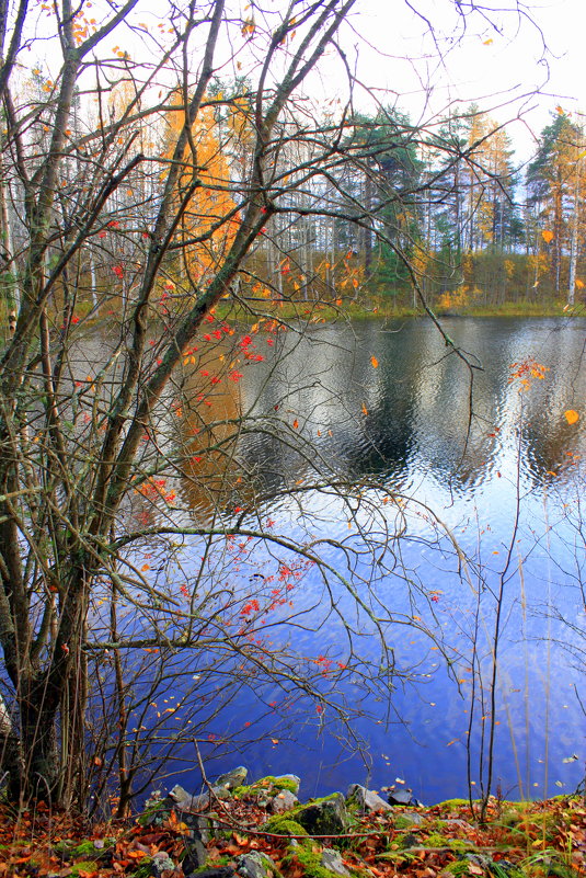 Осень в Карелии - Николай Гренков