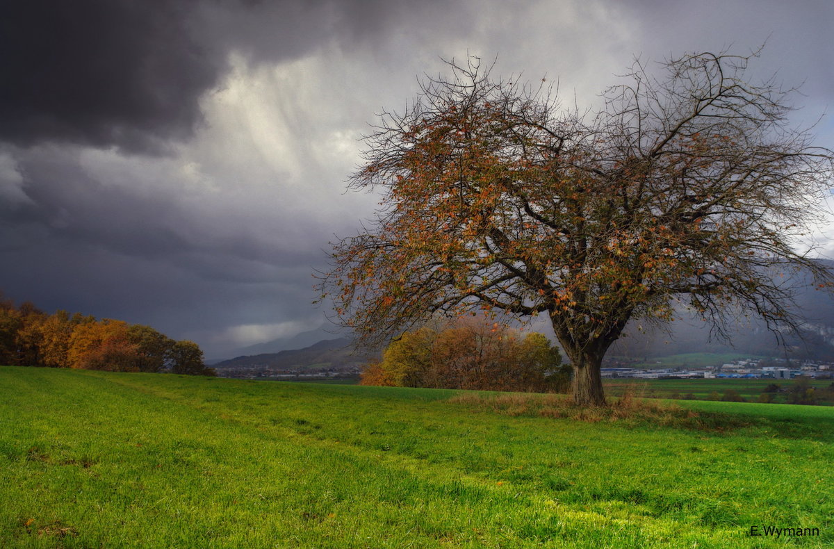 осень - рыжая девица - Elena Wymann осень - рыжая девица - Elena Wymann