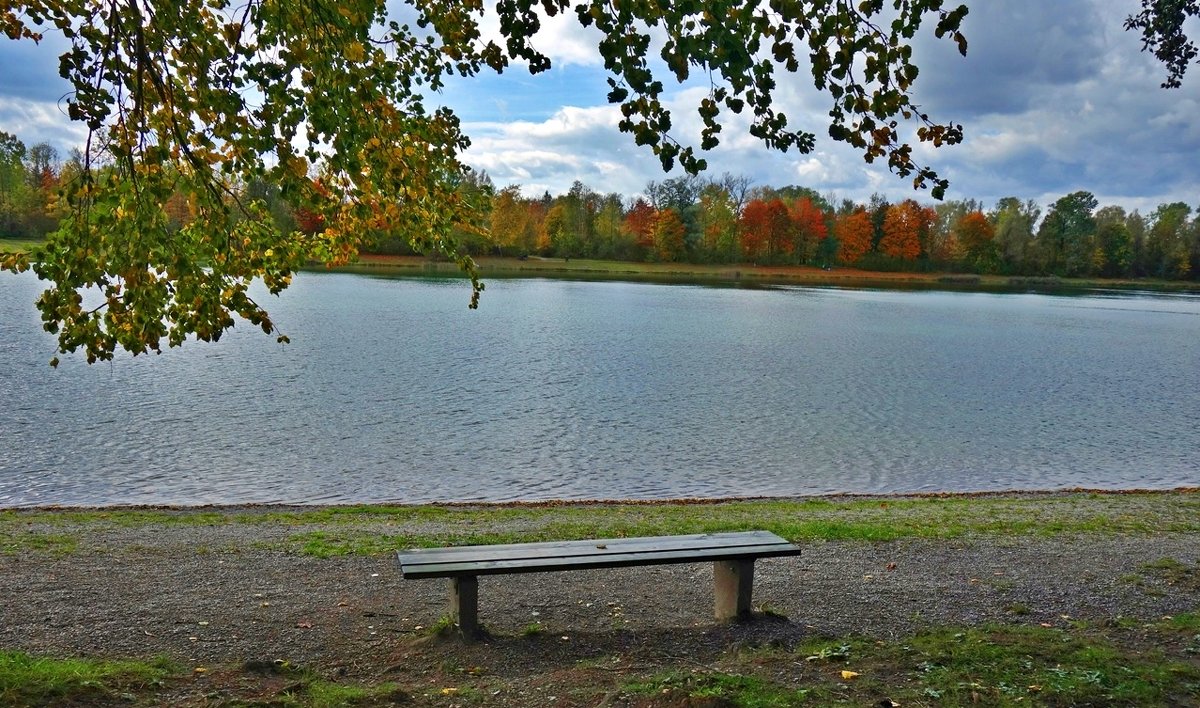 ... - Galina Dzubina