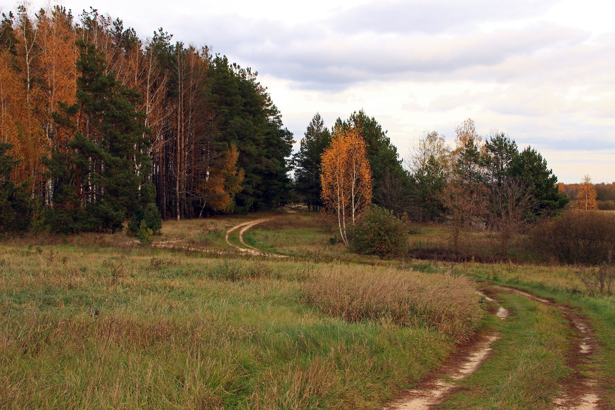 дорога осени - оксана 