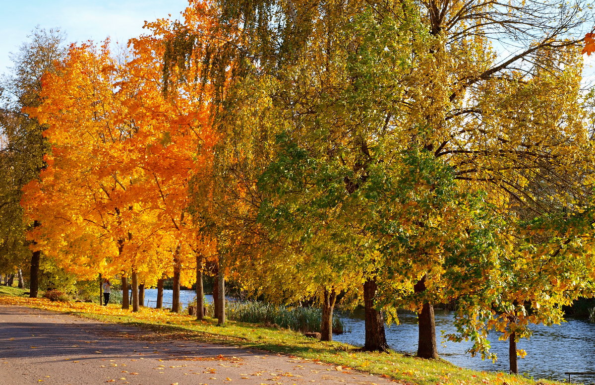 ... - Алексей Жуков ... - Алексей Жуков