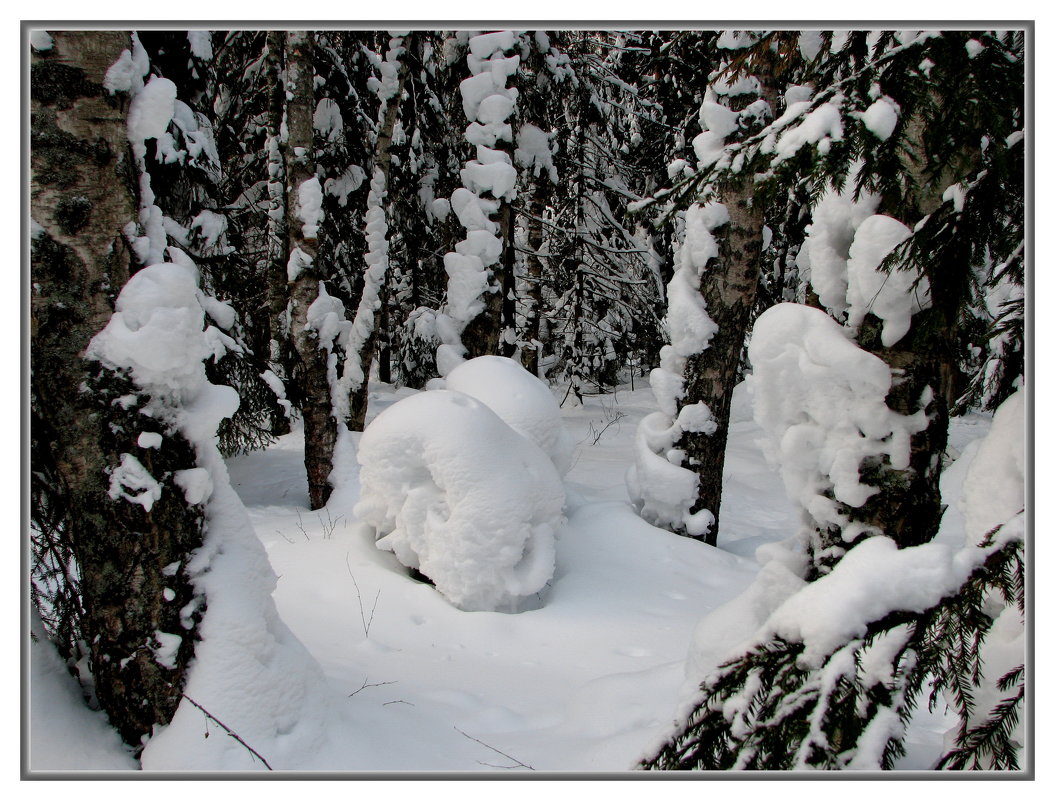 зима - Владимир ( Vovan50Nestor )