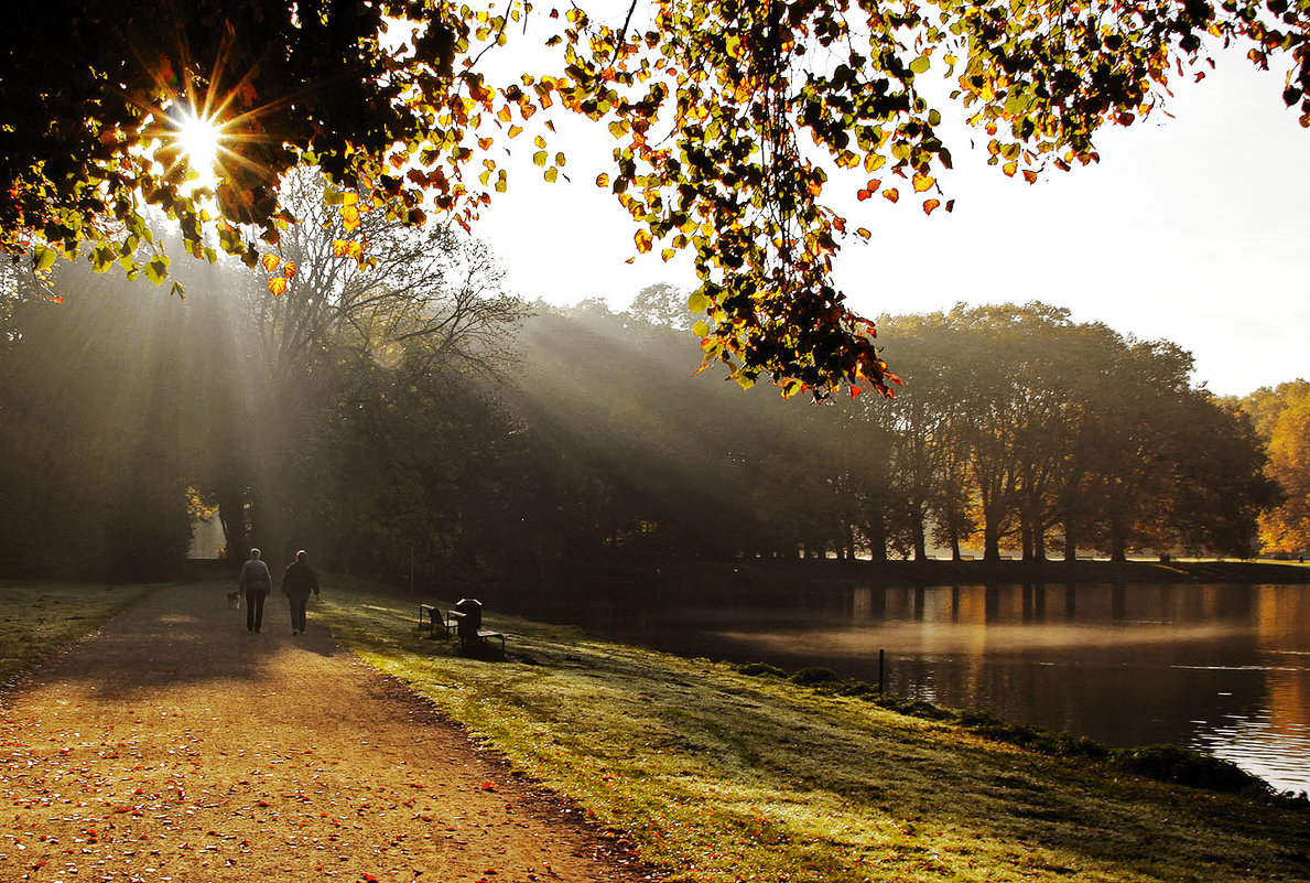 А вверху звезда горит - Alexander Andronik