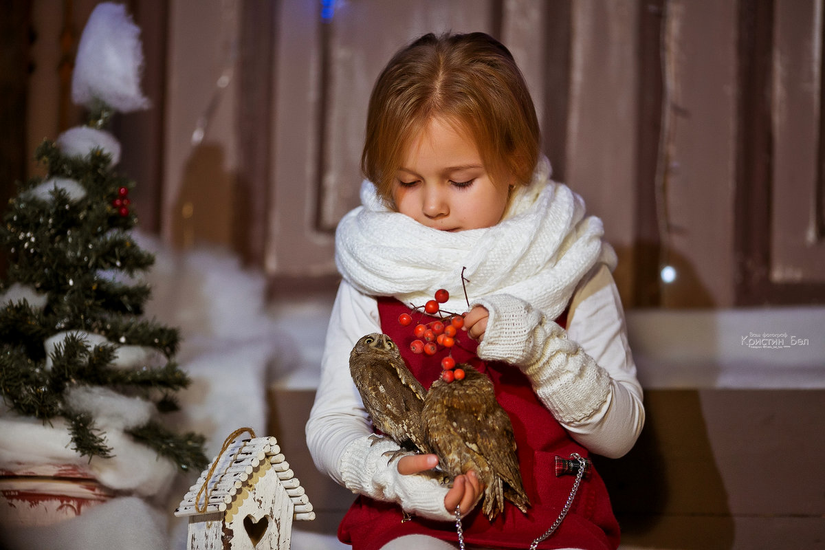 Зимняя сказка Марины - Кристина Беляева