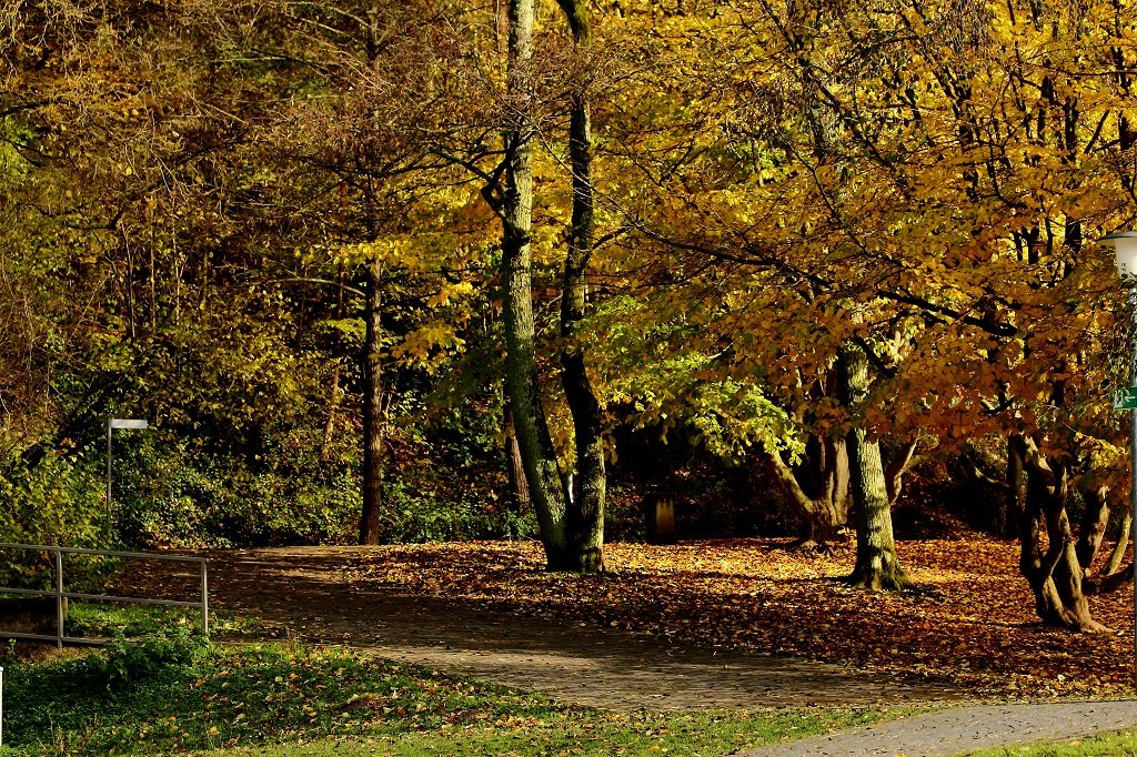 В парке - Людмила Шнайдер