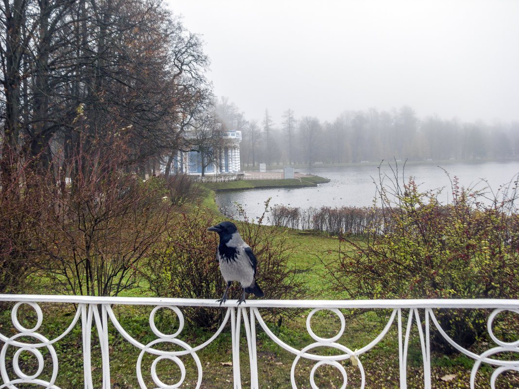 В Екатерининском парке - Варвара 