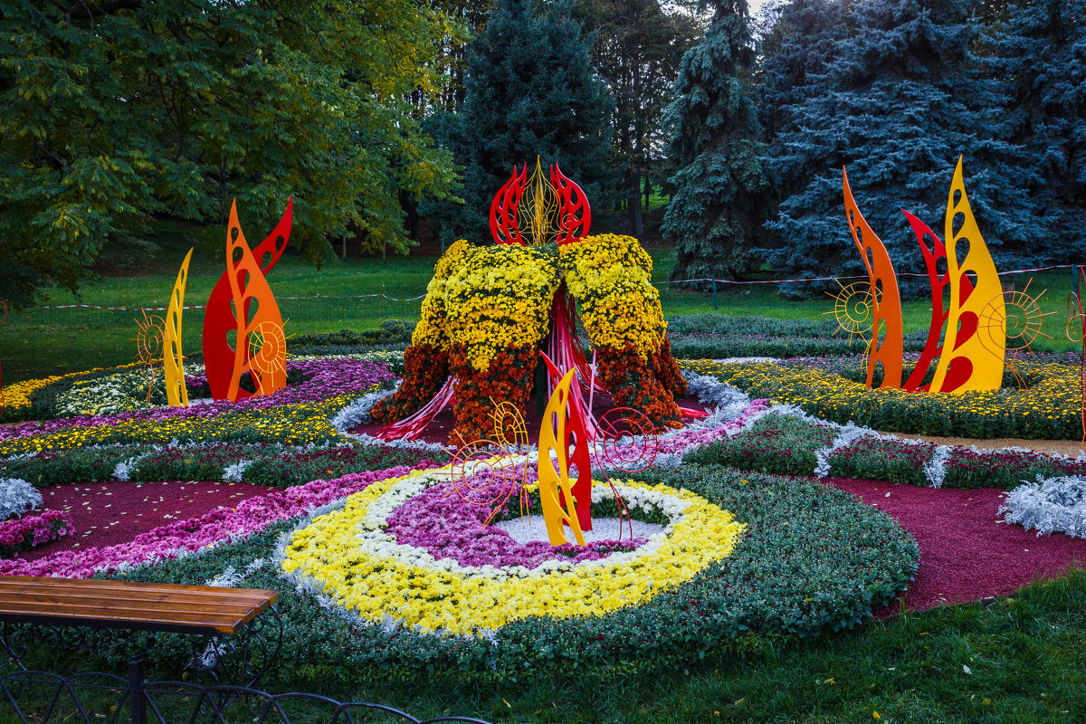 Композиции из хризантем - Андрей Нибылица Композиции из хризантем - Андрей Нибылица