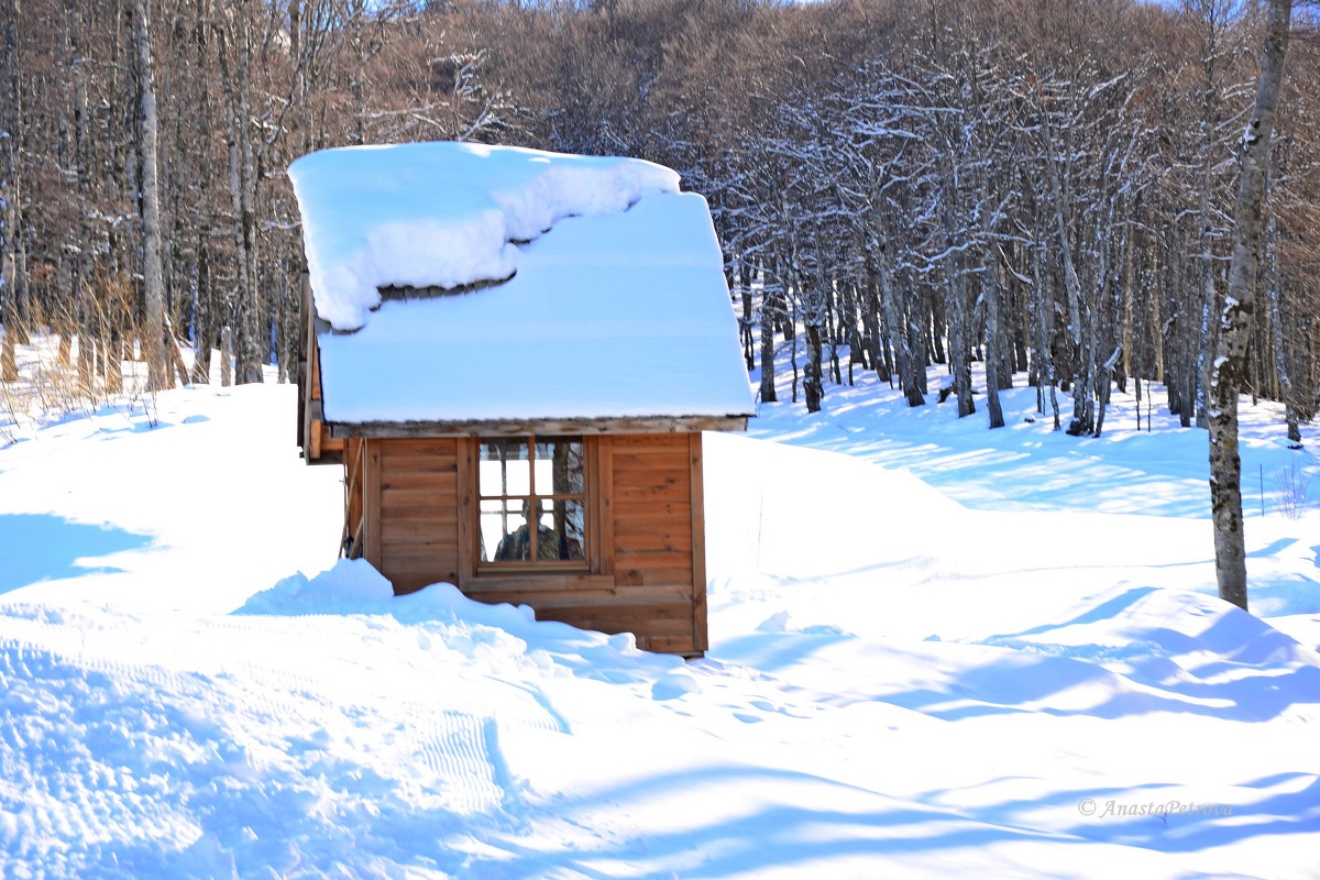 Ski centar Kolašin. Montenegro - Anasta Petrova