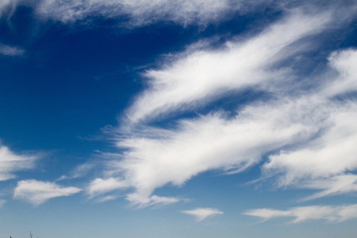 ... - Viktor Kolodko