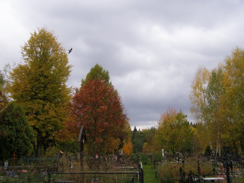 Деревенское кладбище - Анна Воробьева