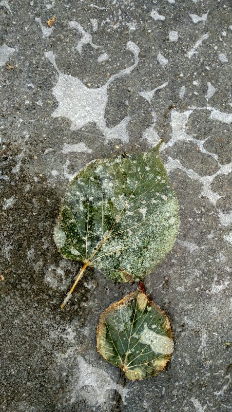 Под ногами 2 - Tanja Gerster