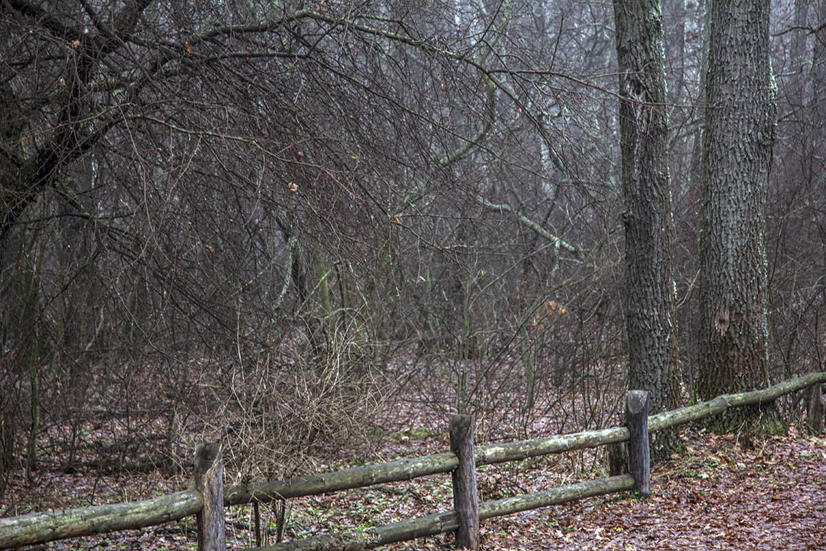 ЛЕС1 - Геннадий Свистов