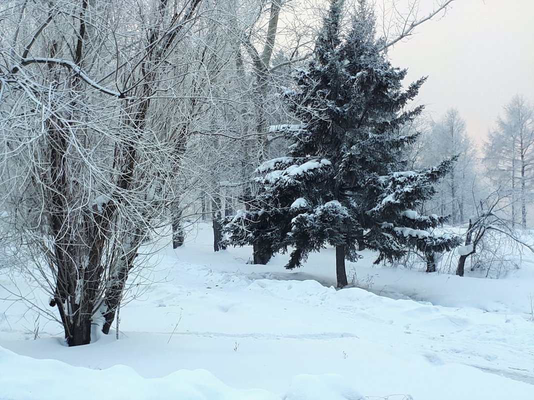 В городском парке. Холодно. - Наталья Тимофеева