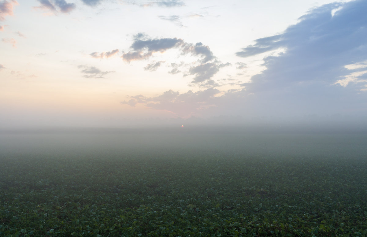 Туманный рассвет - Марина Туманный рассвет - Марина