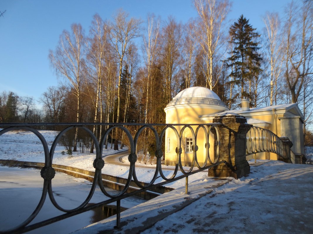 зимний Павловск - Елена 